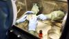 Ebola çiçek ve şarbon virüslerinin bulunduğu Rus laboratuvarında patlama oldu