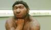 Orta kulak iltihabı Neandertalleri ortadan kaldırmış olabilir